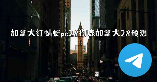 加拿大红蜻蜓pc28狗鹿加拿大28预测