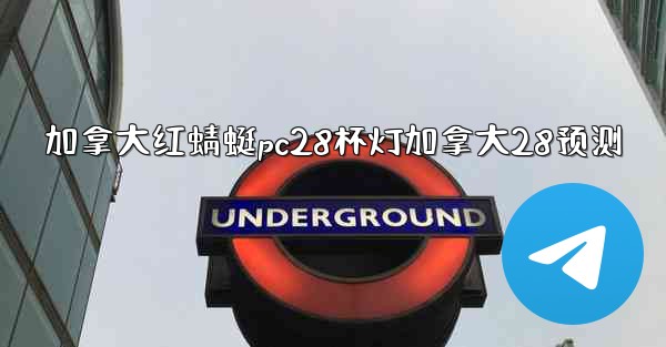 加拿大红蜻蜓pc28杯灯加拿大28预测