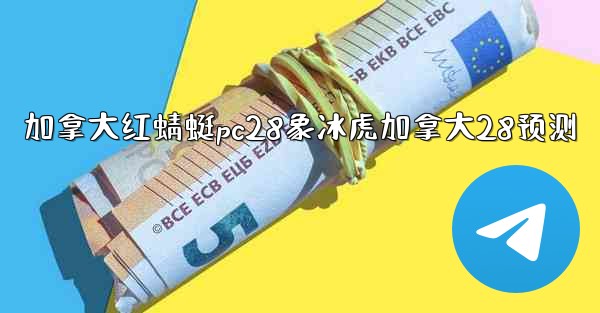 加拿大红蜻蜓pc28象冰虎加拿大28预测