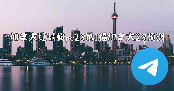 加拿大红蜻蜓pc28鼠鸭福加拿大28预测