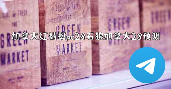 加拿大红蜻蜓pc28石狼加拿大28预测