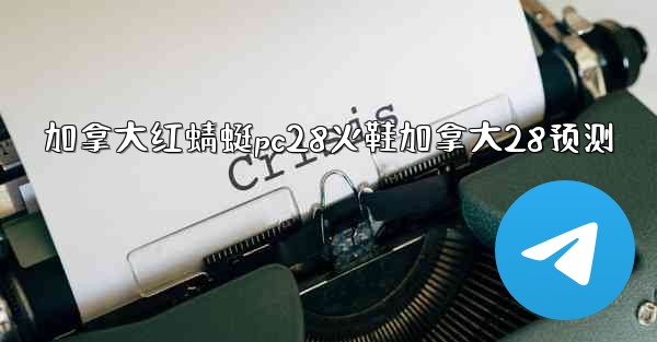 加拿大红蜻蜓pc28火鞋加拿大28预测