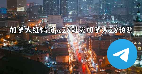 加拿大红蜻蜓pc28鞋爱加拿大28预测