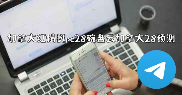 加拿大红蜻蜓pc28碗盘云加拿大28预测