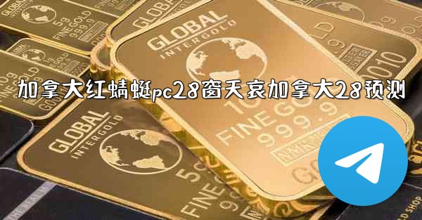 加拿大红蜻蜓pc28窗天哀加拿大28预测