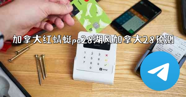 加拿大红蜻蜓pc28湖风加拿大28预测