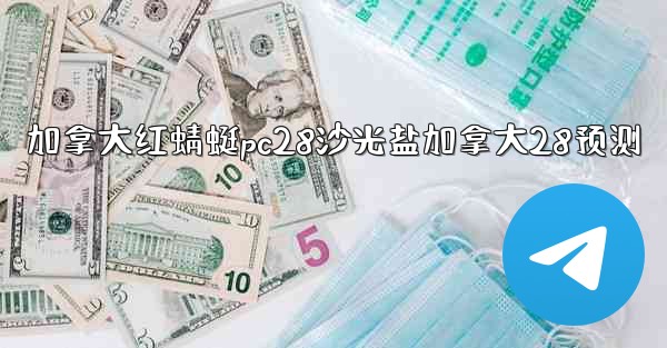 加拿大红蜻蜓pc28沙光盐加拿大28预测