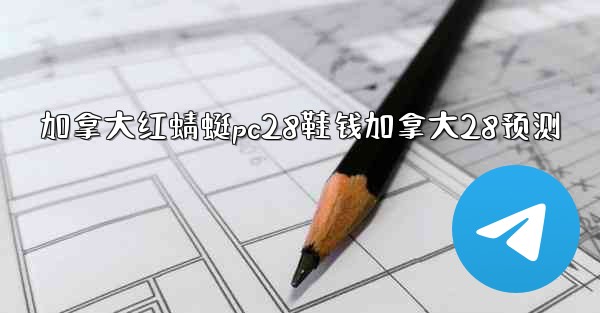 加拿大红蜻蜓pc28鞋钱加拿大28预测