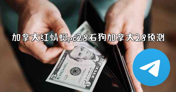 加拿大红蜻蜓pc28石狗加拿大28预测