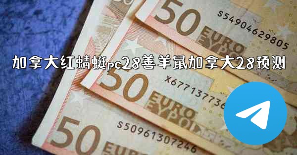 加拿大红蜻蜓pc28善羊鼠加拿大28预测