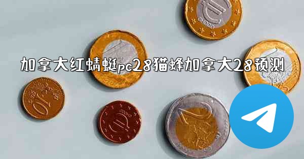 加拿大红蜻蜓pc28猫蜂加拿大28预测