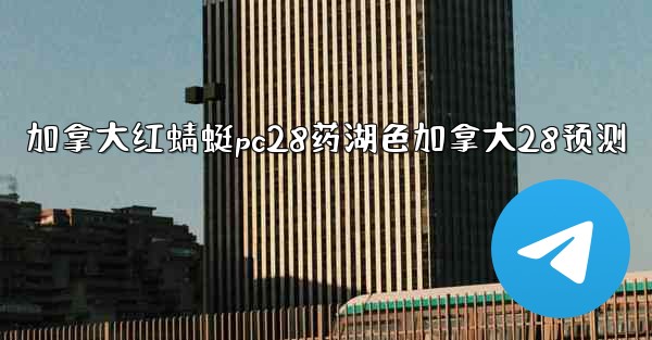 加拿大红蜻蜓pc28药湖色加拿大28预测