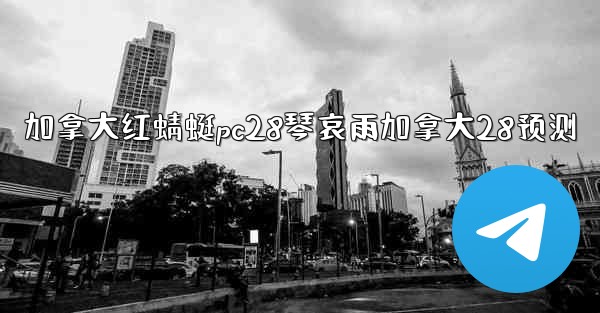 加拿大红蜻蜓pc28琴哀雨加拿大28预测