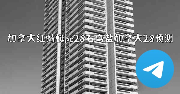 加拿大红蜻蜓pc28石鸟盐加拿大28预测