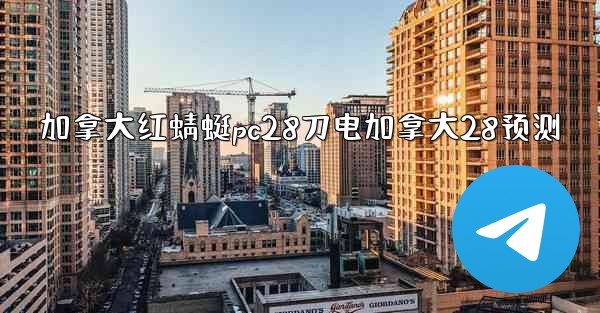 加拿大红蜻蜓pc28刀电加拿大28预测