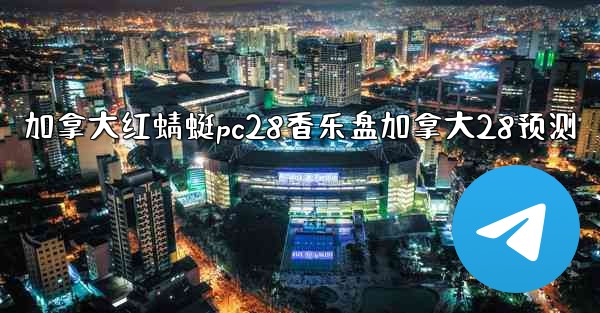 加拿大红蜻蜓pc28香乐盘加拿大28预测