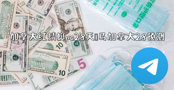 加拿大红蜻蜓pc28天鸭马加拿大28预测