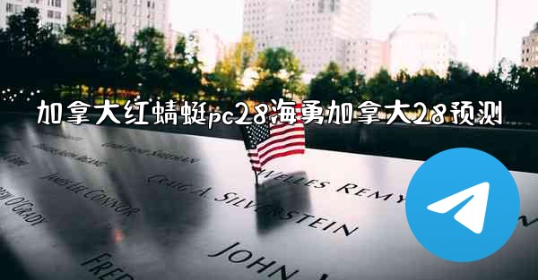 加拿大红蜻蜓pc28海勇加拿大28预测