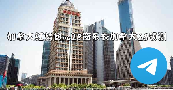 加拿大红蜻蜓pc28窗乐衣加拿大28预测