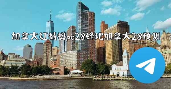 加拿大红蜻蜓pc28蜂地加拿大28预测