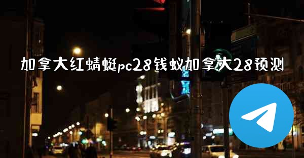 加拿大红蜻蜓pc28钱蚁加拿大28预测