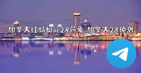 加拿大红蜻蜓pc28药兔鸭加拿大28预测