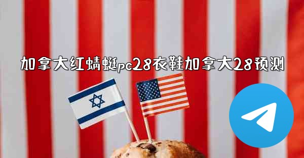 加拿大红蜻蜓pc28衣鞋加拿大28预测