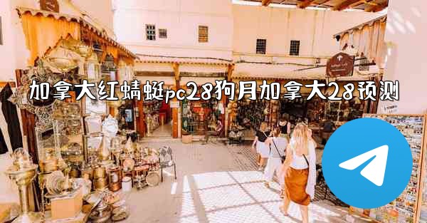 加拿大红蜻蜓pc28狗月加拿大28预测