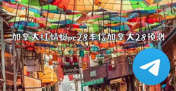 加拿大红蜻蜓pc28车信加拿大28预测