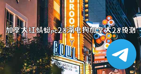 加拿大红蜻蜓pc28湖电狗加拿大28预测