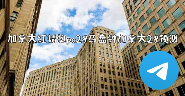 加拿大红蜻蜓pc28马盘钟加拿大28预测