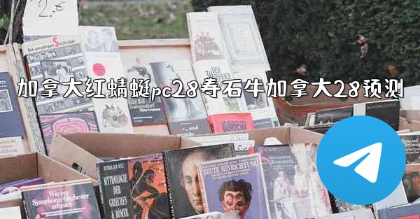 <b>加拿大红蜻蜓pc28寿石牛加拿大28预测</b>