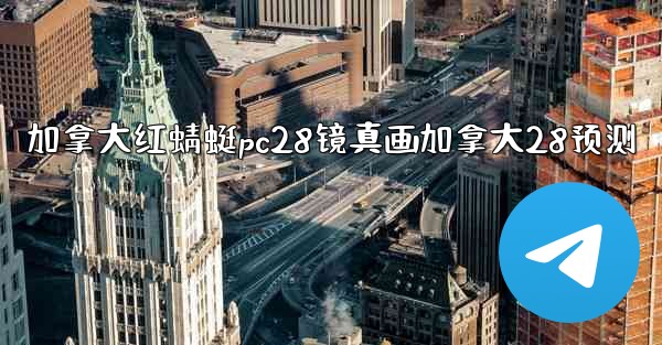 加拿大红蜻蜓pc28镜真画加拿大28预测