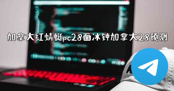 加拿大红蜻蜓pc28面冰钟加拿大28预测