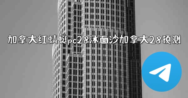 加拿大红蜻蜓pc28冰面沙加拿大28预测