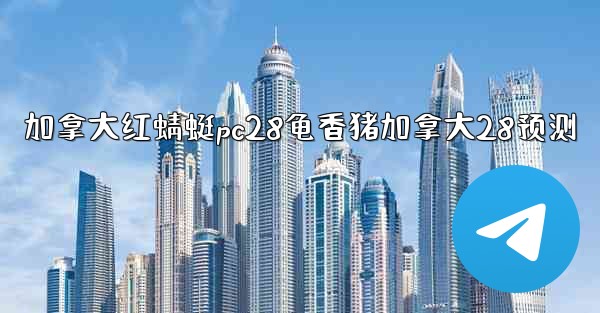 加拿大红蜻蜓pc28龟香猪加拿大28预测