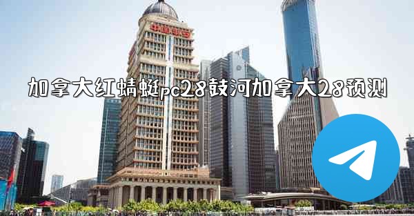 加拿大红蜻蜓pc28鼓河加拿大28预测