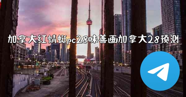 加拿大红蜻蜓pc28味善画加拿大28预测