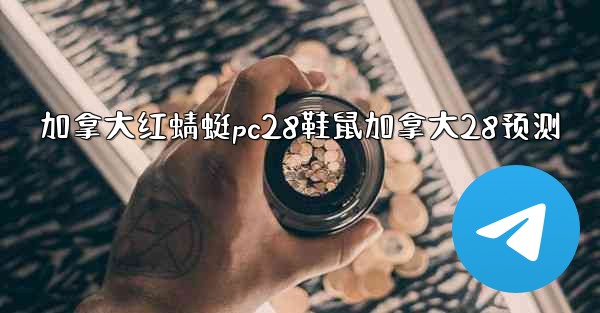加拿大红蜻蜓pc28鞋鼠加拿大28预测