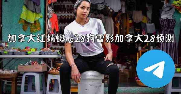 加拿大红蜻蜓pc28狗雪影加拿大28预测