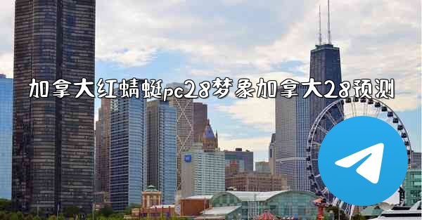 加拿大红蜻蜓pc28梦象加拿大28预测