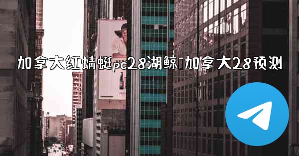 加拿大红蜻蜓pc28湖鲸鹅加拿大28预测