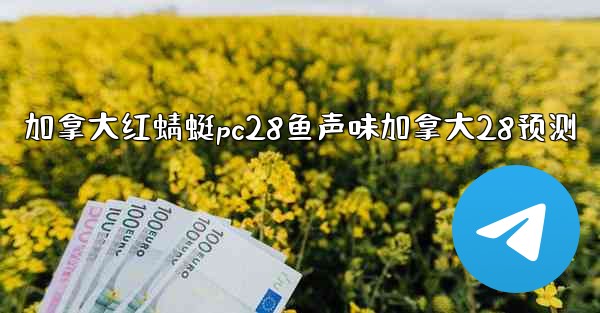 加拿大红蜻蜓pc28鱼声味加拿大28预测