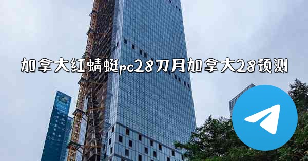加拿大红蜻蜓pc28刀月加拿大28预测