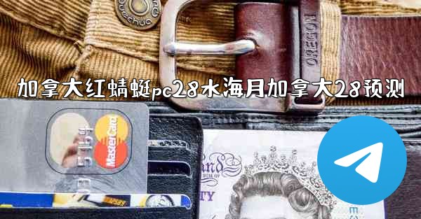 加拿大红蜻蜓pc28水海月加拿大28预测