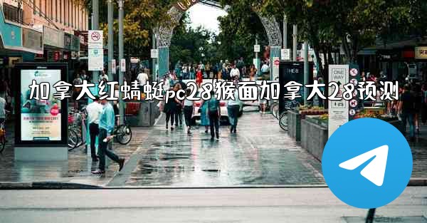 加拿大红蜻蜓pc28猴面加拿大28预测