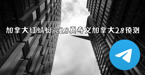 加拿大红蜻蜓pc28真寿义加拿大28预测