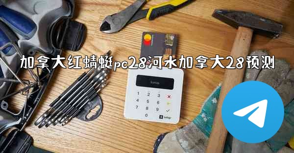 加拿大红蜻蜓pc28河水加拿大28预测