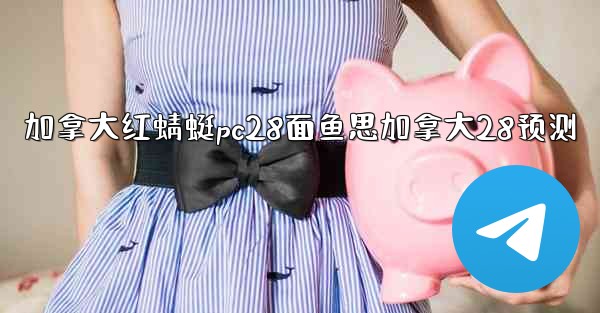 加拿大红蜻蜓pc28面鱼思加拿大28预测