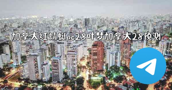 加拿大红蜻蜓pc28叶梦加拿大28预测